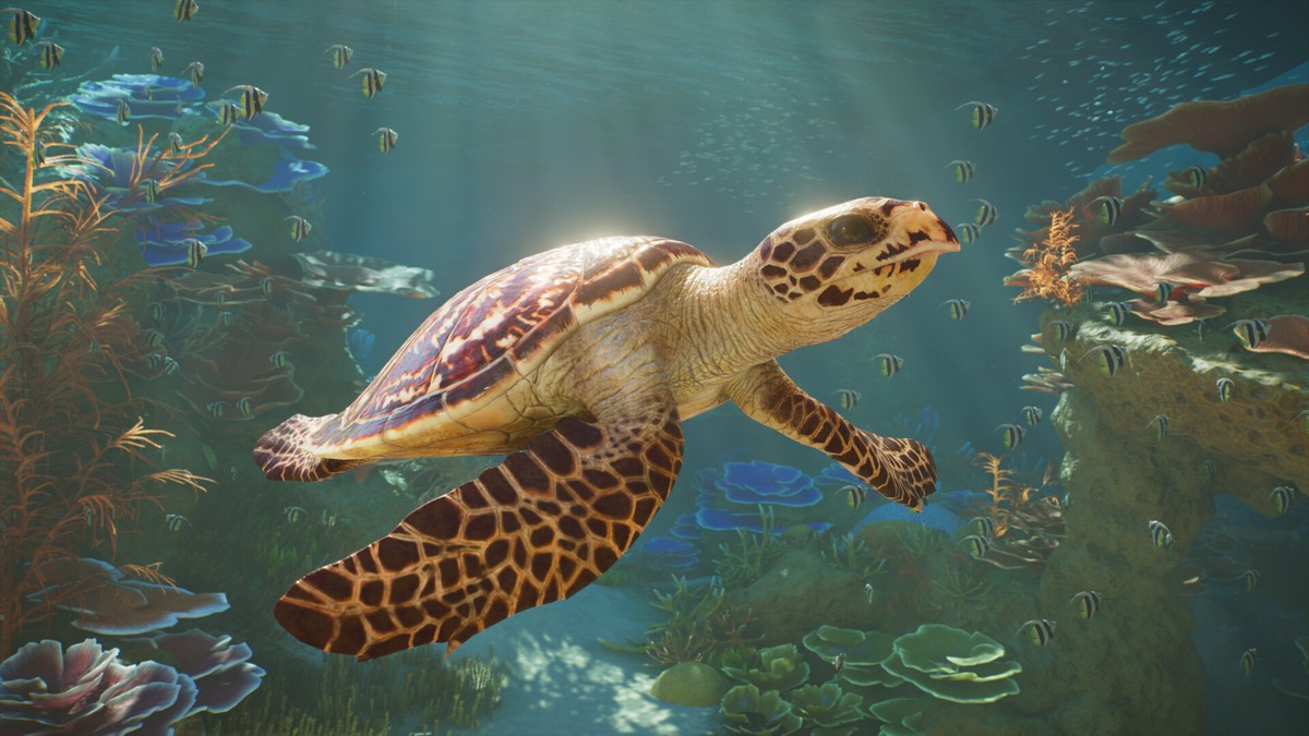 Planet Zoo 2 chega amanhã com aquários, aviários e dublagem em português; veja os preços no Brasil
